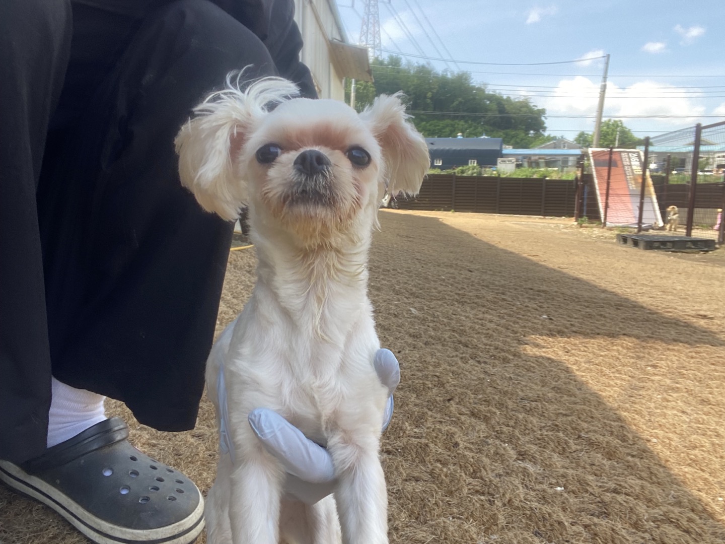 한국야생동물보호협회_441383202400248